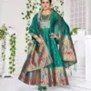 Poonam Designer Paithni Gown