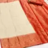 Rajtex Kalaapi Silk