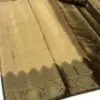 Rajtex Kalaapi Silk