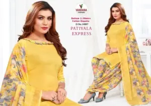 Vandana Fashion Patiyala Express Vol 14