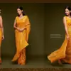 Zeel the Starlit Saree Vol 1