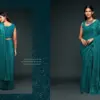 Zeel the Starlit Saree Vol 1