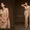 Zeel the Starlit Saree Vol 1