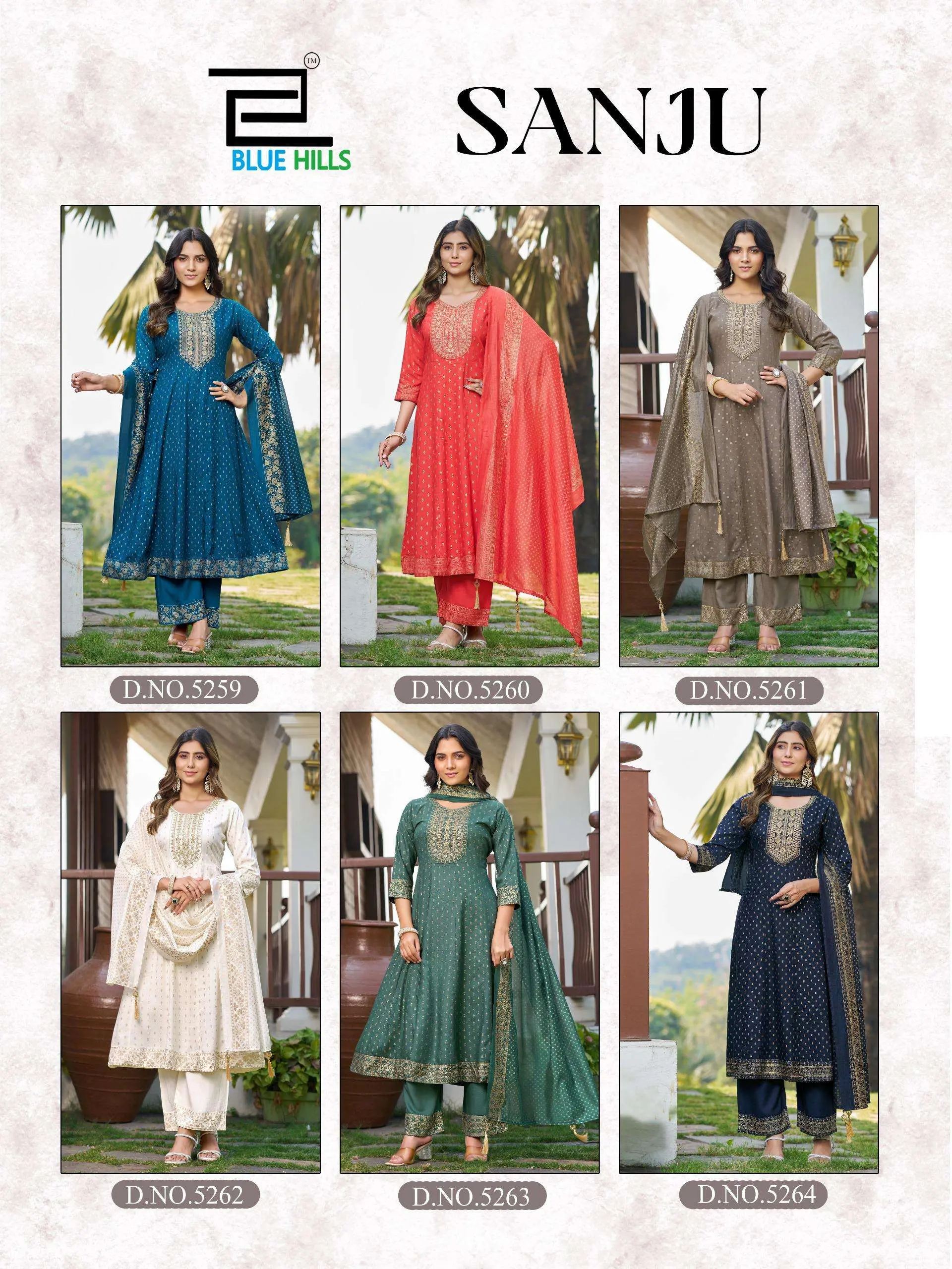 Blue Hills Sanju - Image 7